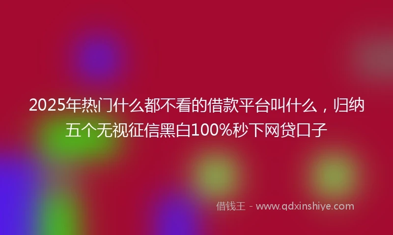 2025年热门什么都不看的借款平台叫什么，归纳五个无视征信黑白100%秒下网贷口子