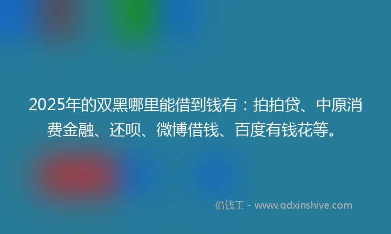 2025年的双黑哪里能借到钱有：拍拍贷、中原消费金融、还呗、微博借钱、百度有钱花等。