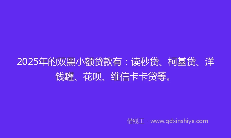 2025年的双黑小额贷款有：读秒贷、柯基贷、洋钱罐、花呗、维信卡卡贷等。