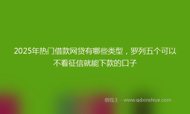 2025年热门借款网贷有哪些类型,罗列五个可以不看征信就能下款的口子
