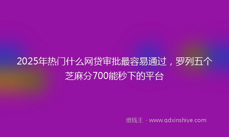 2025年热门什么网贷审批最容易通过,罗列五个芝麻分700能秒下的平台