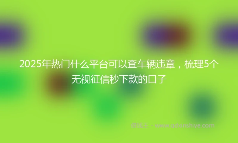 2025年热门什么平台可以查车辆违章，梳理5个无视征信秒下款的口子