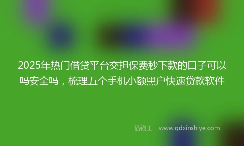 2025年热门借贷平台交担保费秒下款的口子可以吗安全吗，梳理五个手机小额黑户快速贷款软件