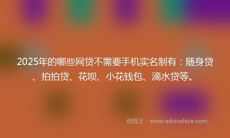 2025年的哪些网贷不需要手机实名制有：随身贷、拍拍贷、花呗、小花钱包、滴水贷等。