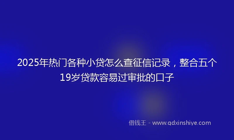 2025年热门各种小贷怎么查征信记录，整合五个19岁贷款容易过审批的口子