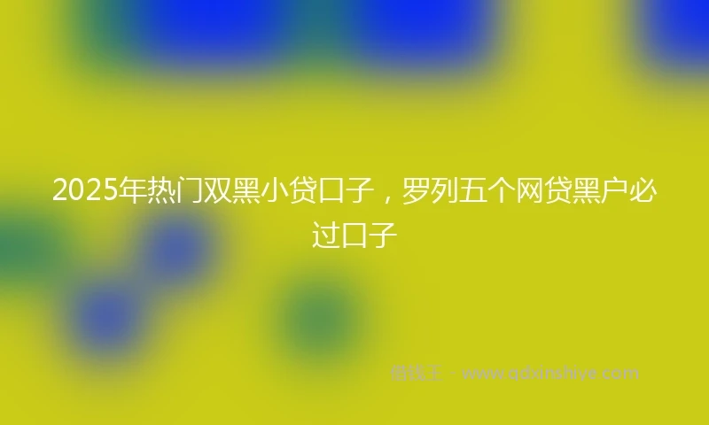2025年热门双黑小贷口子，罗列五个网贷黑户必过口子