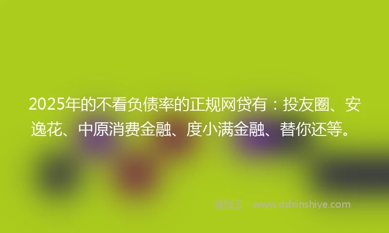 2025年的不看负债率的正规网贷有：投友圈、安逸花、中原消费金融、度小满金融、替你还等。