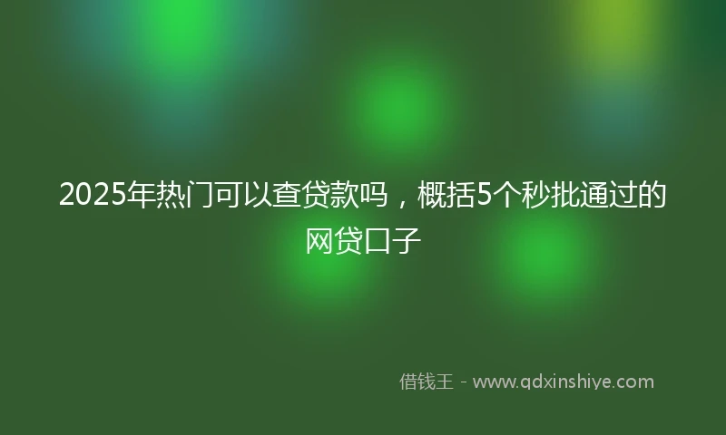 2025年热门可以查贷款吗，概括5个秒批通过的网贷口子