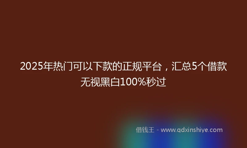 2025年热门可以下款的正规平台，汇总5个借款无视黑白100%秒过