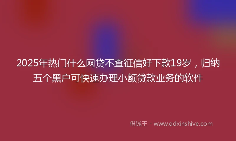 2025年热门什么网贷不查征信好下款19岁,归纳五个黑户可快速办理小额贷款业务的软件