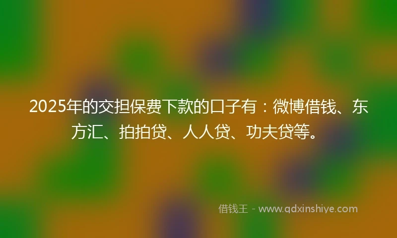 2025年的交担保费下款的口子有：微博借钱、东方汇、拍拍贷、人人贷、功夫贷等。