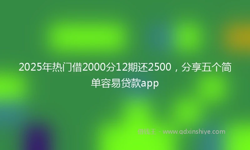 2025年热门借2000分12期还2500，分享五个简单容易贷款app
