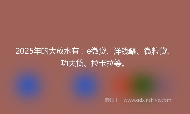 2025年的大放水有：e微贷、洋钱罐、微粒贷、功夫贷、拉卡拉等。