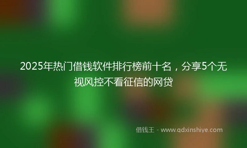 2025年热门借钱软件排行榜前十名，分享5个无视风控不看征信的网贷