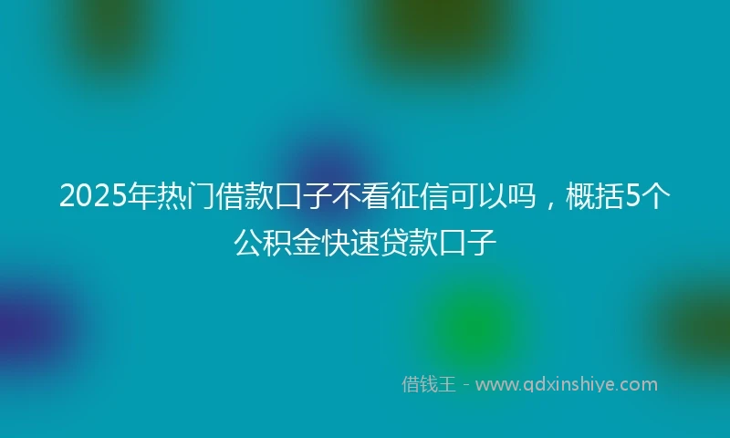 2025年热门借款口子不看征信可以吗，概括5个公积金快速贷款口子
