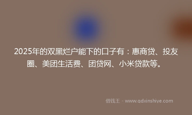 2025年的双黑烂户能下的口子有：惠商贷、投友圈、美团生活费、团贷网、小米贷款等。