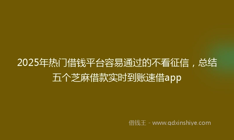 2025年热门借钱平台容易通过的不看征信，总结五个芝麻借款实时到账速借app
