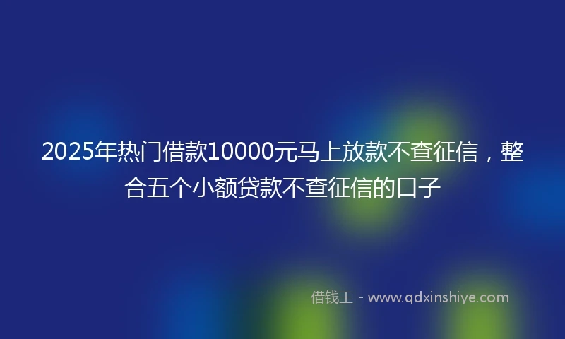 2025年热门借款10000元马上放款不查征信，整合五个小额贷款不查征信的口子