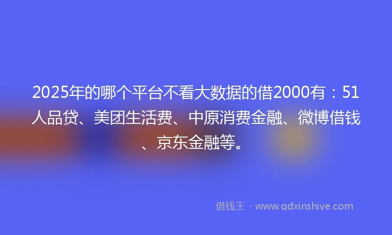 2025年的哪个平台不看大数据的借2000有：51人品贷、美团生活费、中原消费金融、微博借钱、京东金融等。