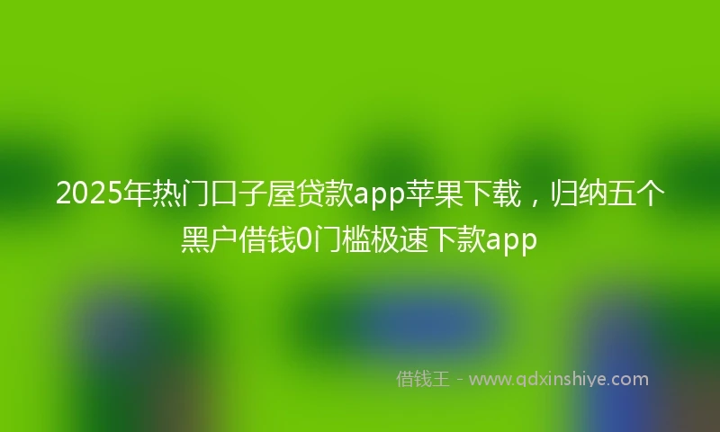 2025年热门口子屋贷款app苹果下载，归纳五个黑户借钱0门槛极速下款app