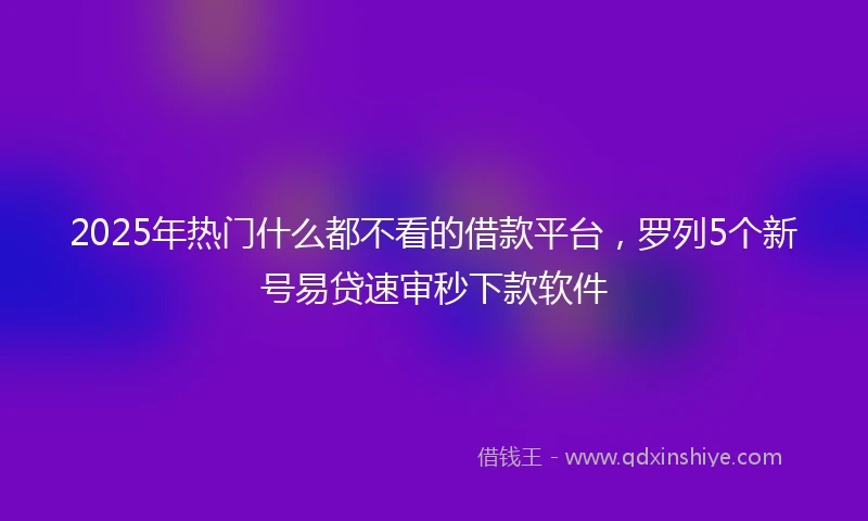 2025年热门什么都不看的借款平台，罗列5个新号易贷速审秒下款软件
