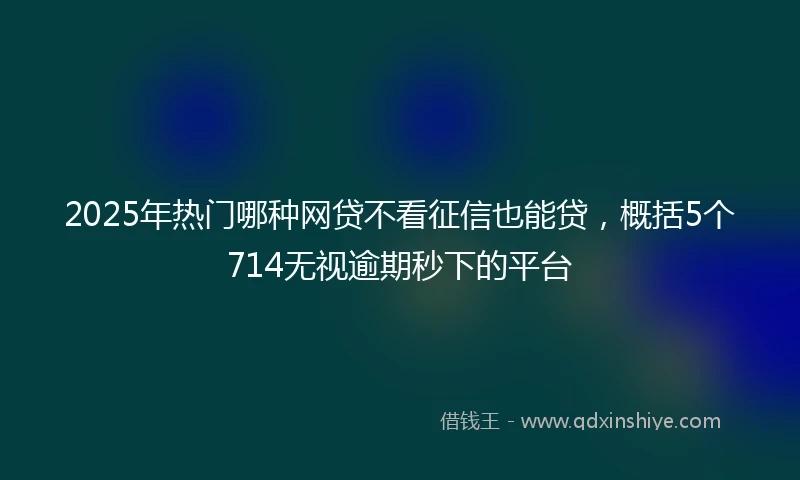 2025年热门哪种网贷不看征信也能贷，概括5个714无视逾期秒下的平台