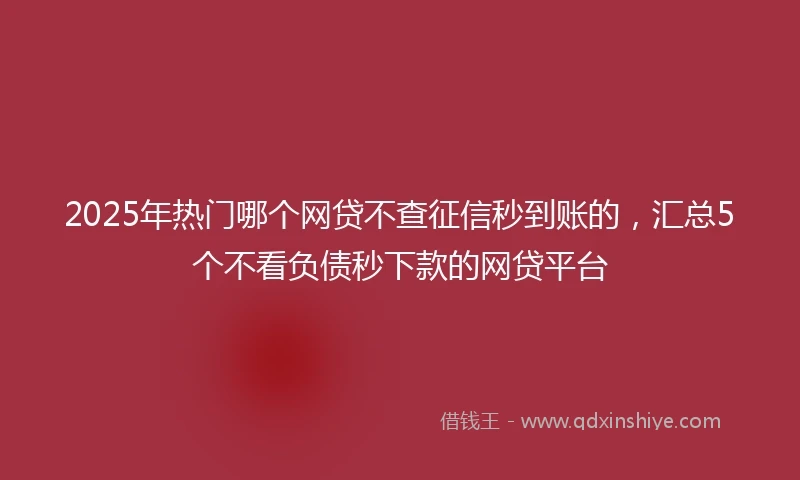 2025年热门哪个网贷不查征信秒到账的，汇总5个不看负债秒下款的网贷平台