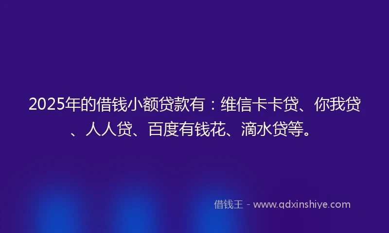 2025年的借钱小额贷款有：维信卡卡贷、你我贷、人人贷、百度有钱花、滴水贷等。