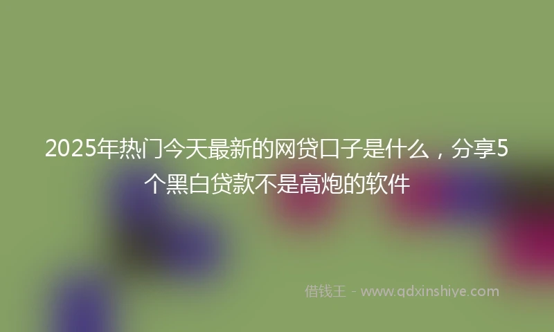 2025年热门今天最新的网贷口子是什么，分享5个黑白贷款不是高炮的软件