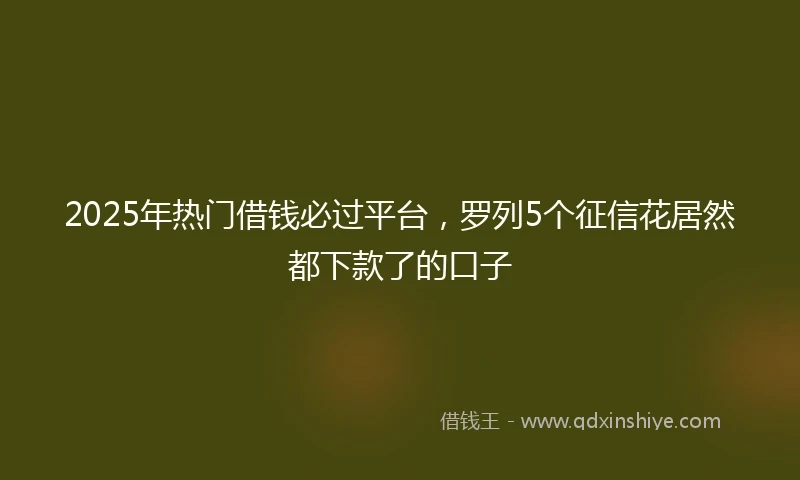 2025年热门借钱必过平台，罗列5个征信花居然都下款了的口子