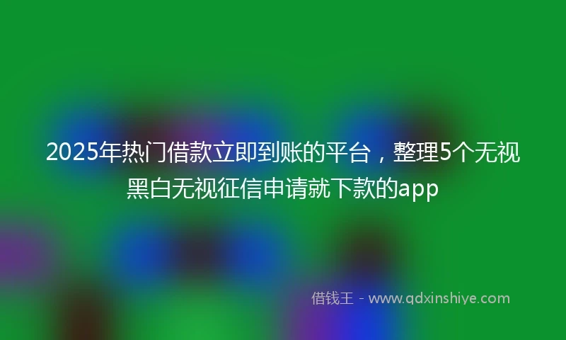 2025年热门借款立即到账的平台,整理5个无视黑白无视征信申请就下款的app