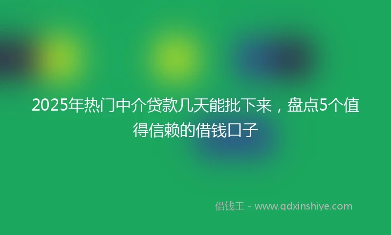2025年热门中介贷款几天能批下来，盘点5个值得信赖的借钱口子