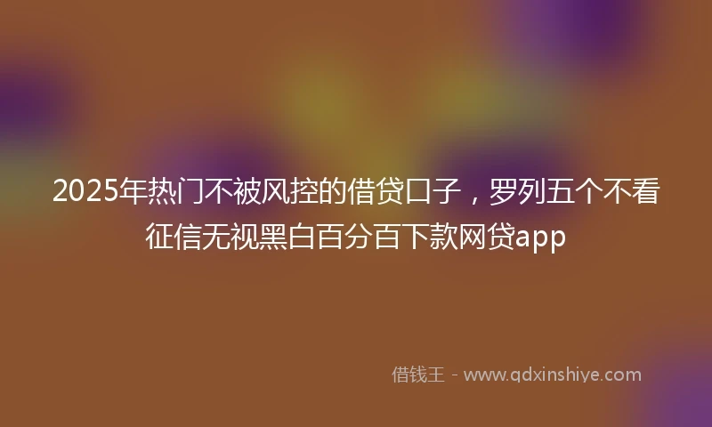 2025年热门不被风控的借贷口子,罗列五个不看征信无视黑白百分百下款网贷app