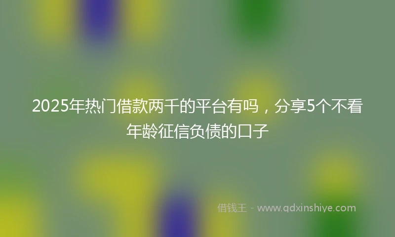 2025年热门借款两千的平台有吗，分享5个不看年龄征信负债的口子