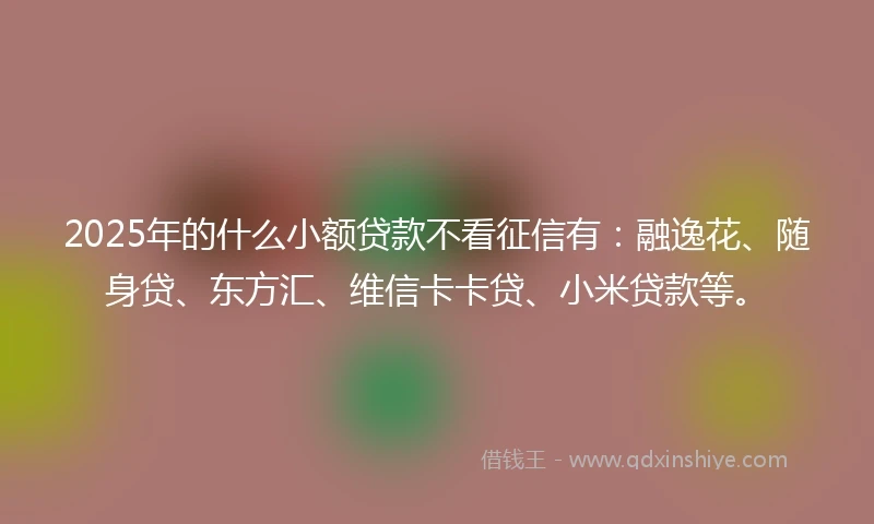 2025年的什么小额贷款不看征信有：融逸花、随身贷、东方汇、维信卡卡贷、小米贷款等。