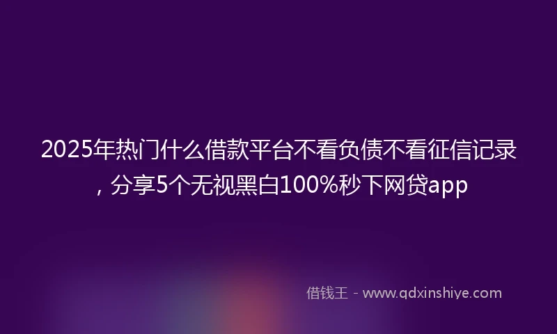 2025年热门什么借款平台不看负债不看征信记录，分享5个无视黑白100%秒下网贷app