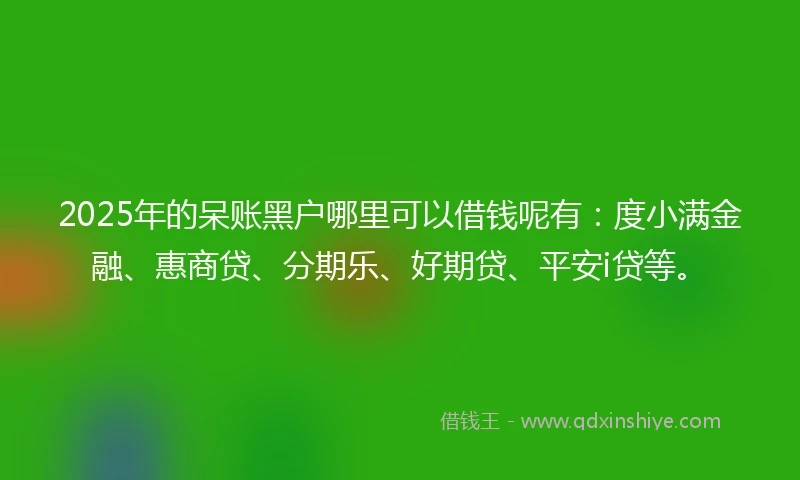 2025年的呆账黑户哪里可以借钱呢有：度小满金融、惠商贷、分期乐、好期贷、平安i贷等。