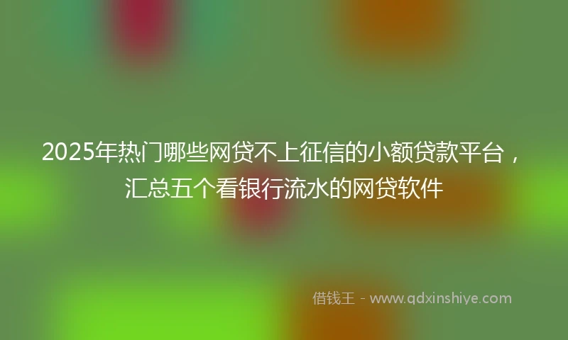 2025年热门哪些网贷不上征信的小额贷款平台,汇总五个看银行流水的网贷软件