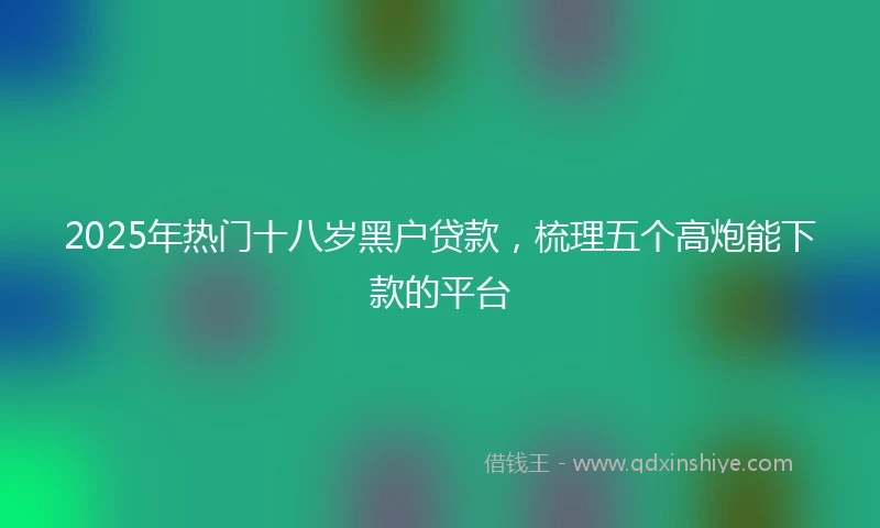 2025年热门十八岁黑户贷款，梳理五个高炮能下款的平台