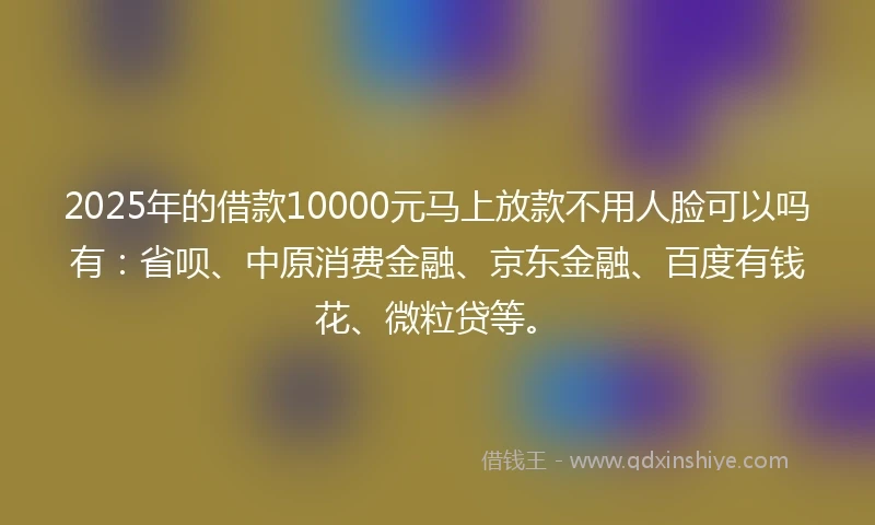 2025年的借款10000元马上放款不用人脸可以吗有：省呗、中原消费金融、京东金融、百度有钱花、微粒贷等。