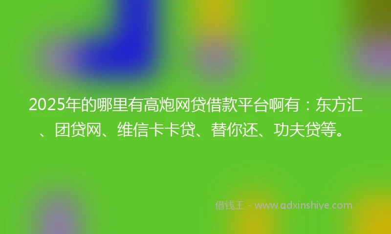 2025年的哪里有高炮网贷借款平台啊有：东方汇、团贷网、维信卡卡贷、替你还、功夫贷等。