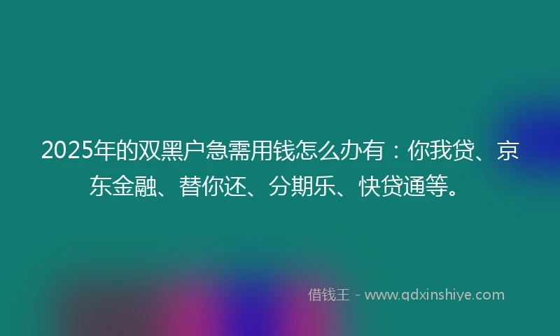 2025年的双黑户急需用钱怎么办有：你我贷、京东金融、替你还、分期乐、快贷通等。