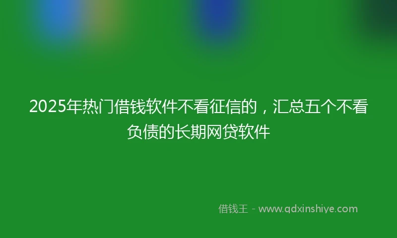 2025年热门借钱软件不看征信的，汇总五个不看负债的长期网贷软件