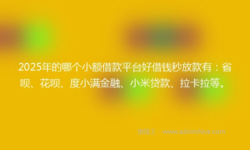 2025年的哪个小额借款平台好借钱秒放款有：省呗、花呗、度小满金融、小米贷款、拉卡拉等。