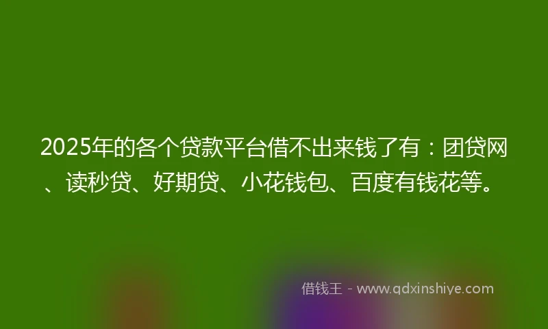 2025年的各个贷款平台借不出来钱了有：团贷网、读秒贷、好期贷、小花钱包、百度有钱花等。