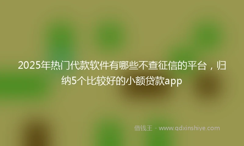 2025年热门代款软件有哪些不查征信的平台，归纳5个比较好的小额贷款app