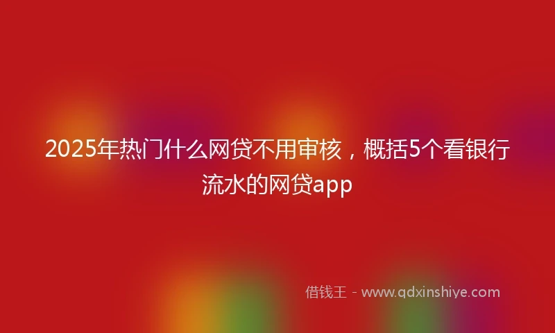 2025年热门什么网贷不用审核，概括5个看银行流水的网贷app