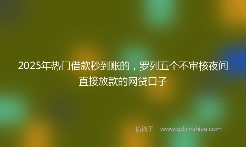 2025年热门借款秒到账的,罗列五个不审核夜间直接放款的网贷口子