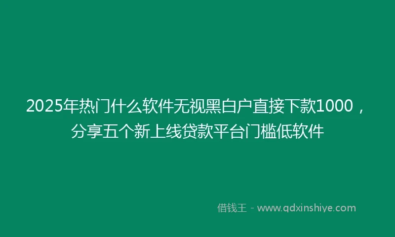 2025年热门什么软件无视黑白户直接下款1000，分享五个新上线贷款平台门槛低软件