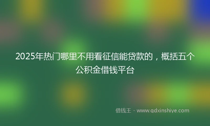 2025年热门哪里不用看征信能贷款的，概括五个公积金借钱平台